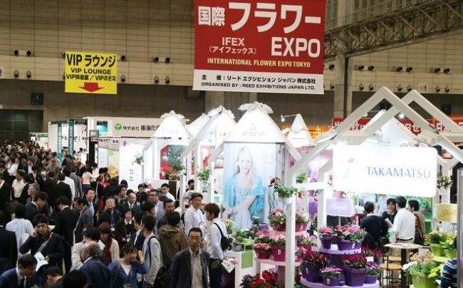 2024IFEX东京花卉展在哪里举办-展会地址及交通指南